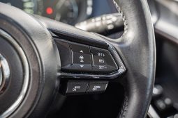 
										2019 Mazda CX-9 Azami TC Auto i-ACTIV AWD full									